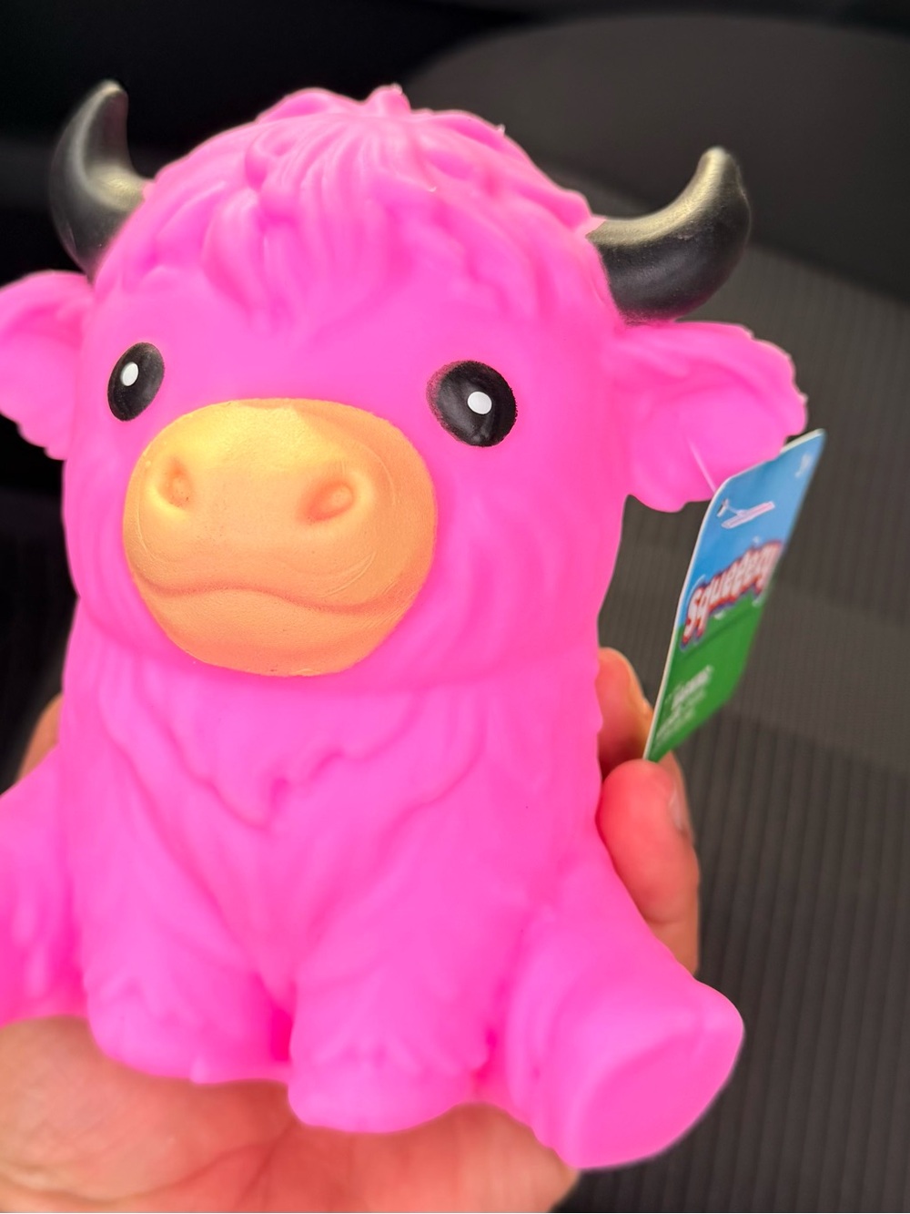Pink Highland Cow by Squeeze